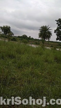 52 bigha land for sale